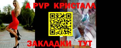 дживик Можга