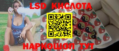 дживик Можга